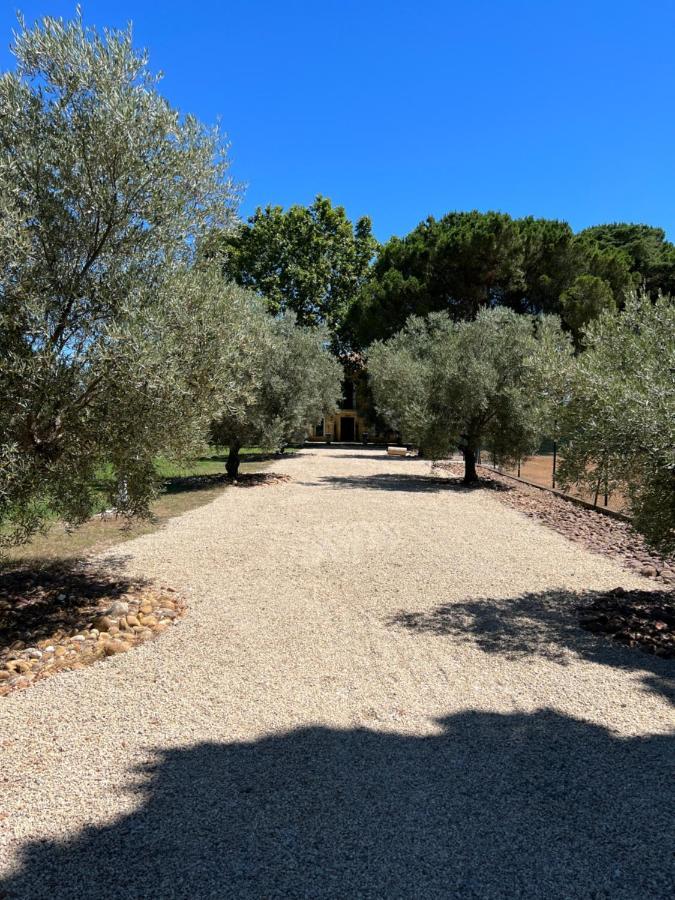 לינה וארוחת בוקר Domaine De La Trinite Montpellier - Aeroport - Plages - Arena - Zenith מראה חיצוני תמונה